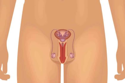 criptocardia-dr-felipe-ladeira-urologista-em-teofilo-otoni